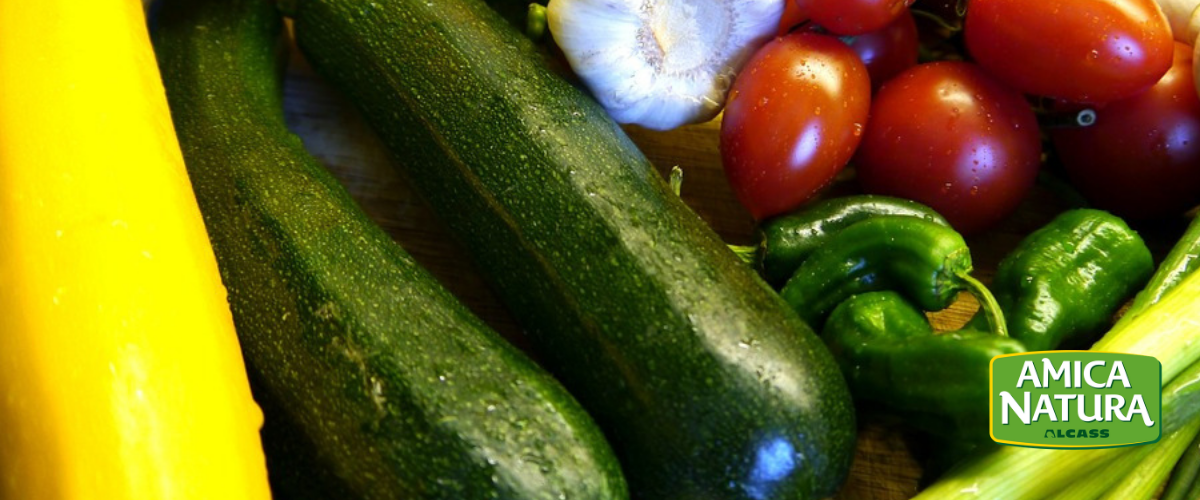 Zucchine ripiene di carne al forno, la ricetta facile