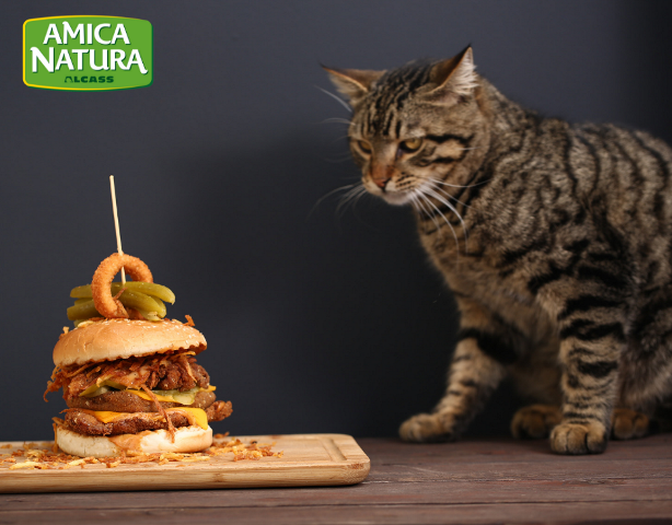 HAMBURGER CON CIPOLLE CROCCANTI… NESSUNO POTRA’ RESISTERE!