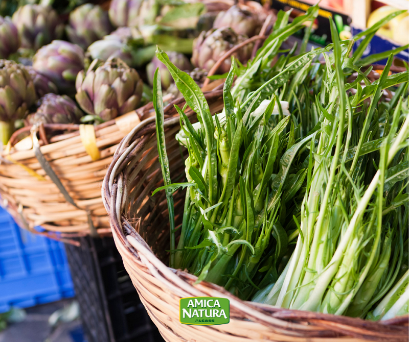 CONOSCI LE PUNTARELLE?