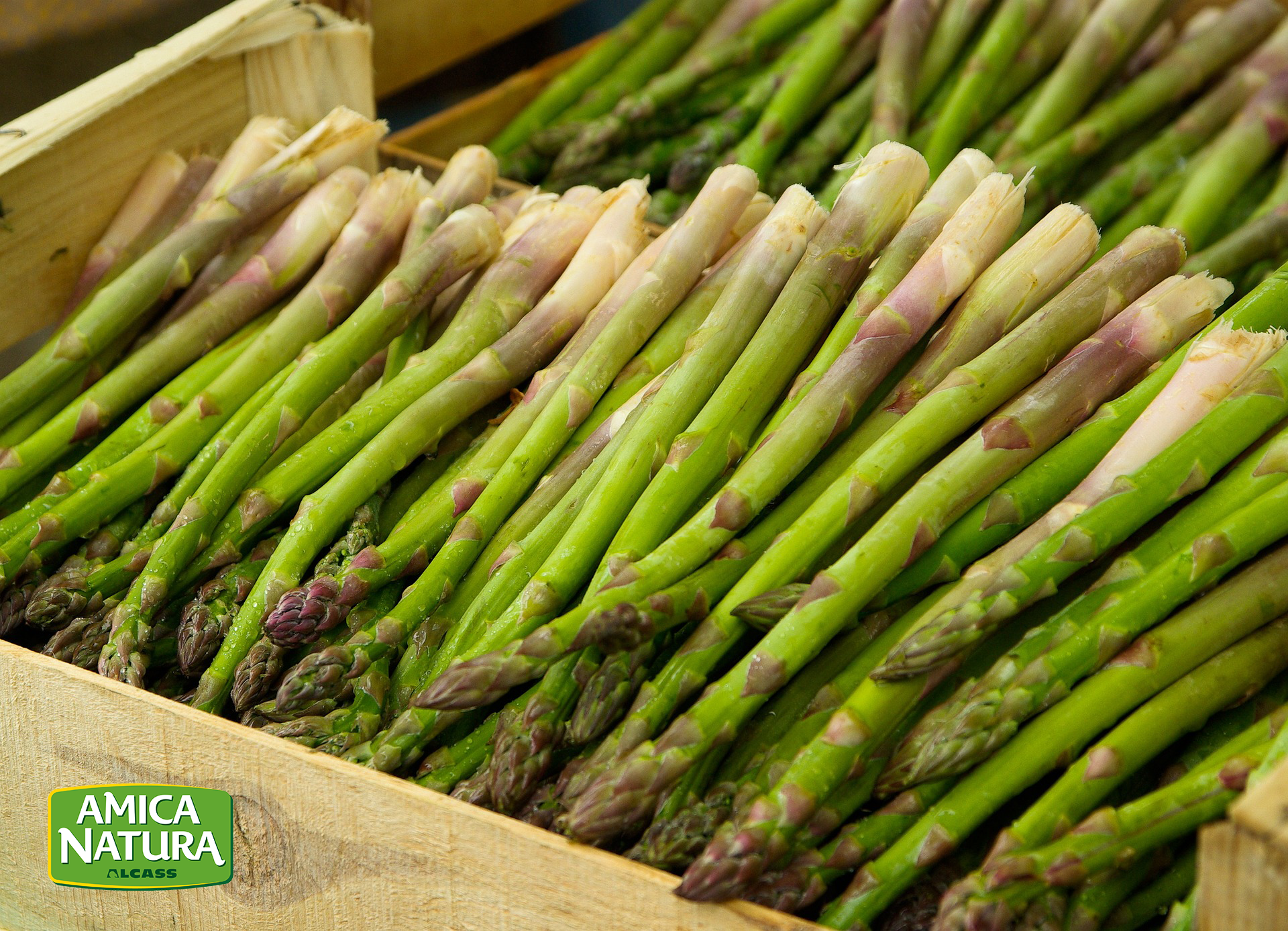 ASPARAGI: che passione!