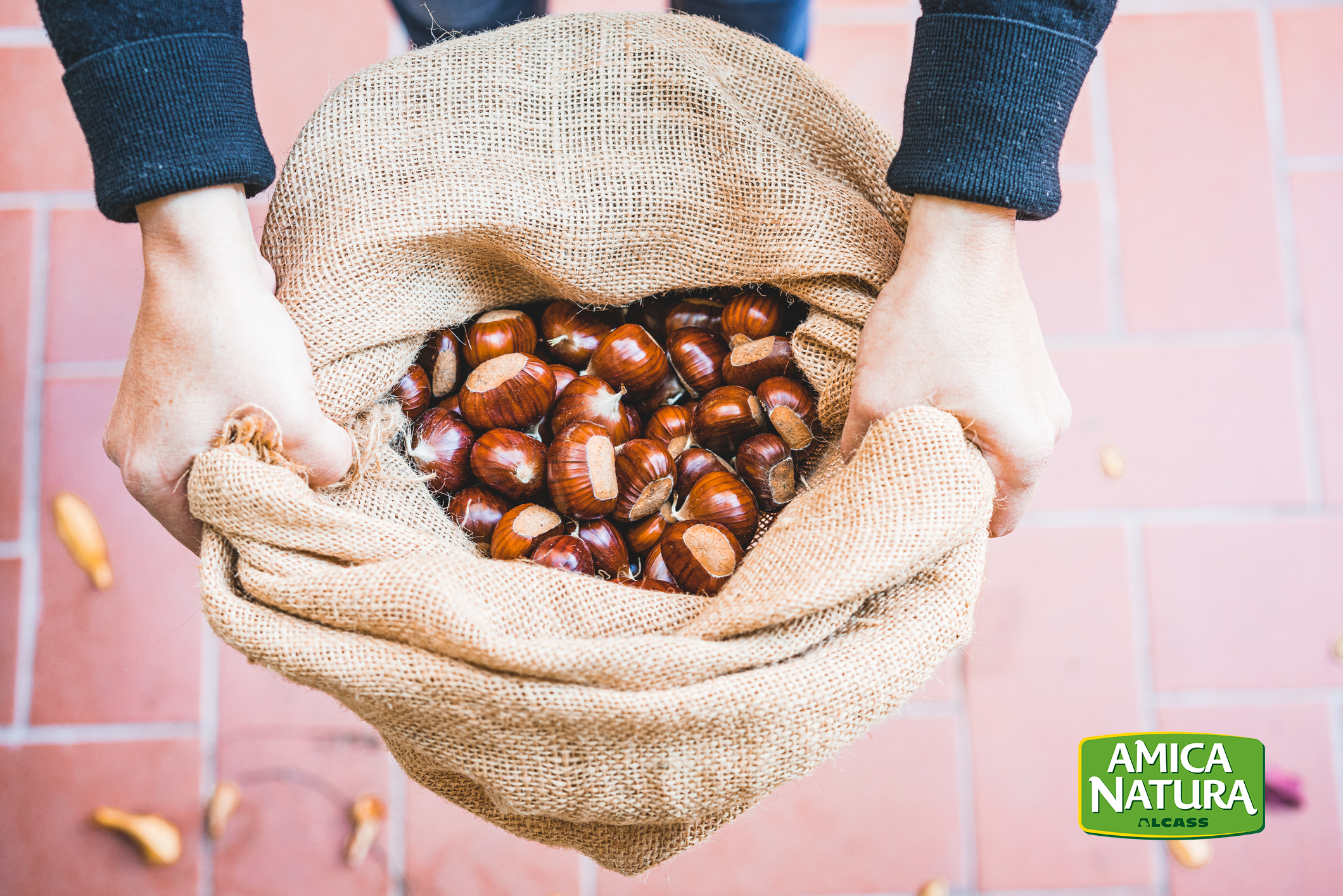 Castagne: simbolo dell’autunno