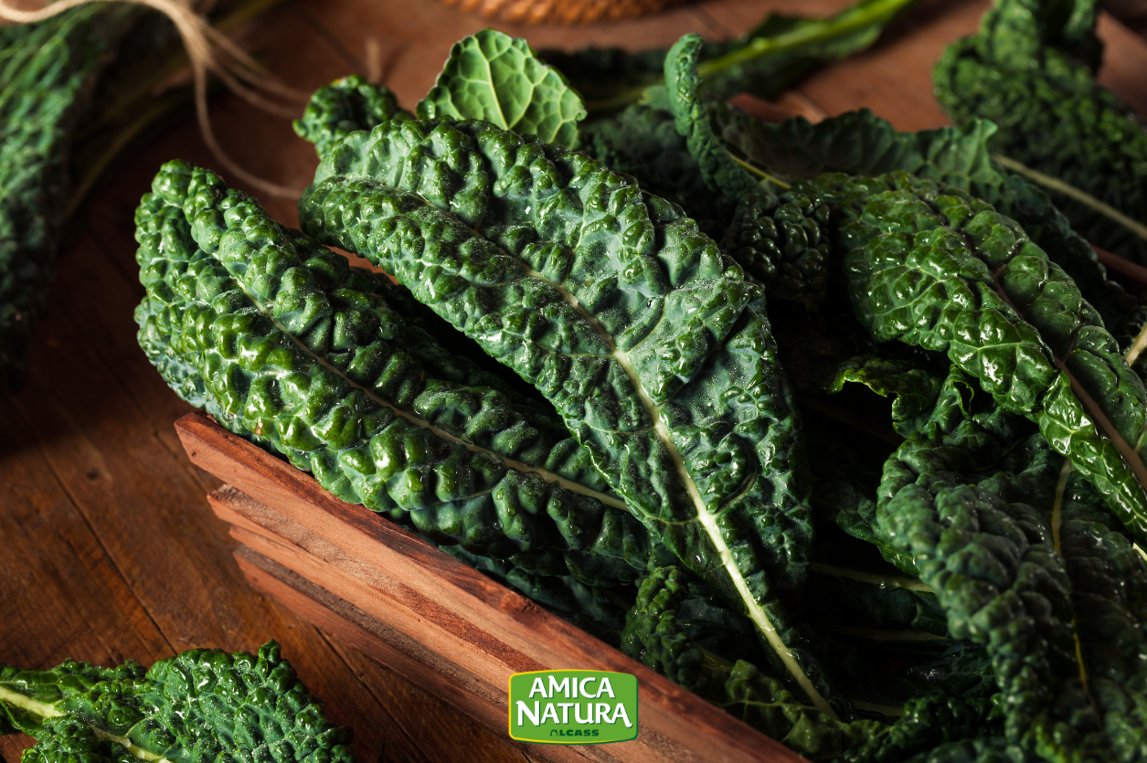 Cavolo nero